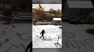 Лучшее утро 👏❤️