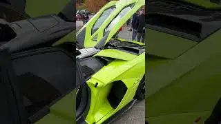 1/250 Lamborghini Aventador Ultimae Roadsters