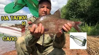 Лещь на сало  на Неве и обрезки тапка! Тверская кормушка ловит!