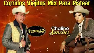 Chalino Sanchez vs El Tigrillo Palma || Puros Corridos Mix 2023 -Puros Corridos Chingones||30 Exitos