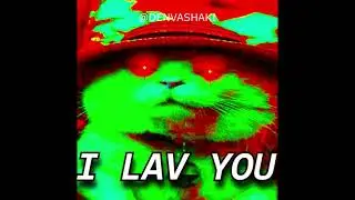 water drip cat meme
