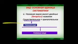 понятие о систематике растений