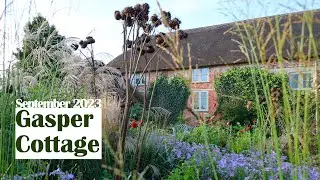 The colourful September garden.