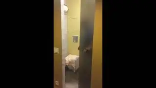 Раздвижная дверь в ванной