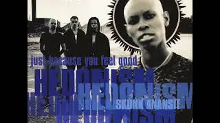 Skunk Anansie - Hedonism (Just Because You Feel Good)