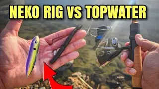 Neko Rig vs Topwater | Bank Fishing (Try These NOW)