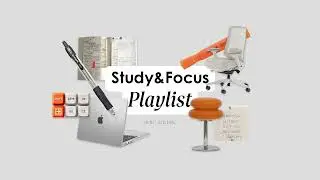 Focus Study Playlist 🎧 Noise Cancelling Lo-fi | Low Bass, Long Study Session 🧑‍💻