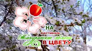 Фестиваль "Мичуринские яблони в цвету"
