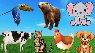 Distinguishing animals: cow, dog, bear, elephant, cat
