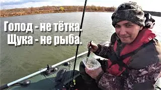 Рыбалка с лодки на спиннинг  Красногорский Гидроузел Иртыш
