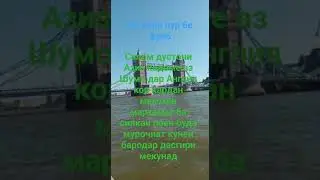 11 декабря 2023 г.