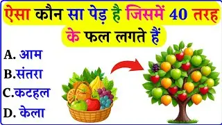 ऐसा कौन सा पेड़ है जिसमें 40 तरह के फल लगते हैं  ! General knowledge ! Gk In hindi ! Gk