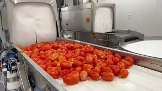 Feed & Seed food processing