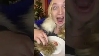 😂САЛАТ для ПЛОХИХ ГОСТЕЙ! #рецепты #рецепт #юмор #прикол #приколы #смешно #ржака #шутка