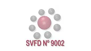 SVFD 9002   Intro 2022 A 