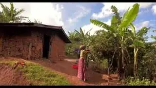 Quality coffee from Eastern DRC