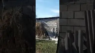 дунгансын ба?