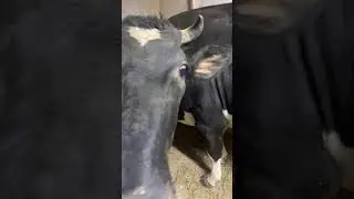 Субботний вечер