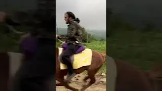 Как вам Фаворит ?