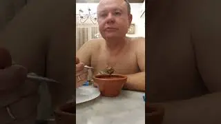 SUPIR FUNNI VIDIO ASMAR🥔🥦🥬🥒/ ESTETIC KURT YUMMI ASMAR SUPIR KOOL🥥🥑🥒🥬🍆🥦🧄🥔
