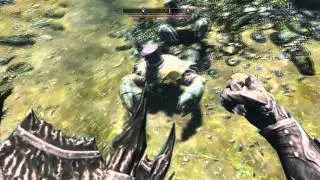 Skyrim - Fancy Mudcrabs