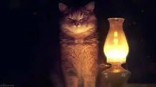 Залипалочка