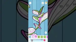 Zen Color Flower