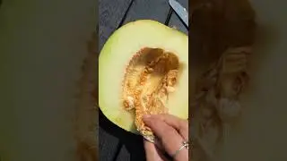 Vizită la Cabanele Sălciua