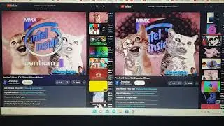 Preview 2 Numa Cat Effects Original vs Opposite Effects