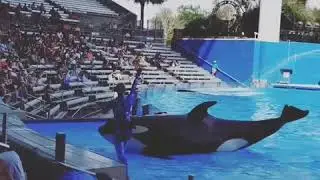 Sea world , Orlando, Florida