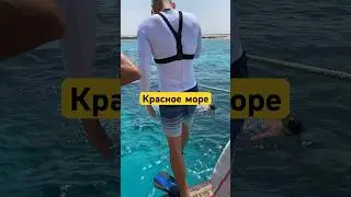 Египет 2024. #египет #путешествия #приключения #красноеморе #море #хургада #отпуск