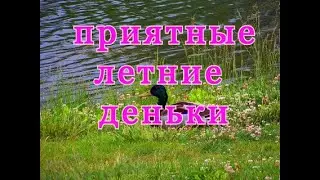 УВЛЕЧЕНИЕ РЫБАЛКОЙ!!  КОМПАНИЯ  УТОЧЕК!!!  ДОЖДЬ! FISHING! DRAINS! RAIN!