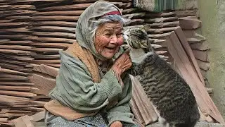 Unbreakable Bonds: Sweet Affection Between Cats and Humans