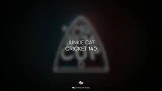 Junkie Cat – CRICKET 140 (МАК СКИРИ X LOONYBANG ROUND 2 БИТ)