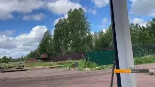 Льва потеряли?)