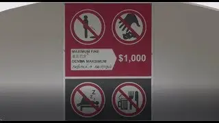 Сингапур: штрафы на каждом шагу