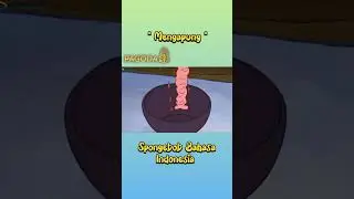 Spongebob Squarepants. #fypシ #fyp #lucu #funny #funnyvideo
