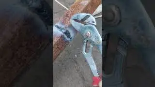 25 августа 2024 г.