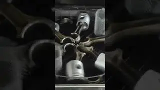 17 мая 2024 г.