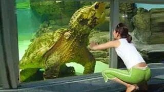 20 Animali che Non hai Mai Visto allo Zoo