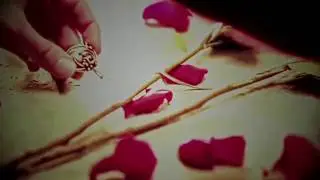 You only know what you have when you lose | Stefan & Elena | Vine