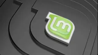 linuxmint 19 (cinnamon)