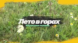 ЛЕТО В ГОРАХ 2021/Красная поляна