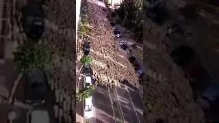 Приколы для души. Курбан байрам начинается