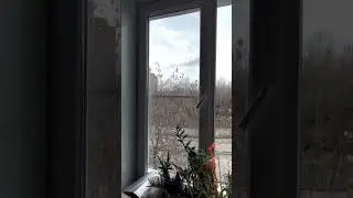 Установка пластиковых окон в квартире в Люберцах. +7 (495) 724-74-01, 7 (499) 202-60-60