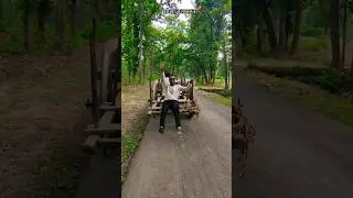 छत्तीसगढ़ के गांव में बैलगाड़ी कि सवारी झोझा जलप्रपात पेंड्रा में पिकनिक #bailgadi #village #pendra