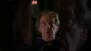 500 years wolf is making plan with a man