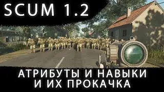 SCUM 1.2: АТРИБУТЫ, НАВЫКИ И ИХ ПРОКАЧКА — Полный гайд (2026)