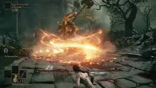 [Elden Ring] Godrick the Grafted (No Damage/2h Melee/No Parry)