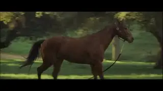 SEABISCUIT de GARY ROSS 2003